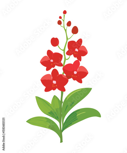 Intense Red Orchid Flowers Vivid Illustration