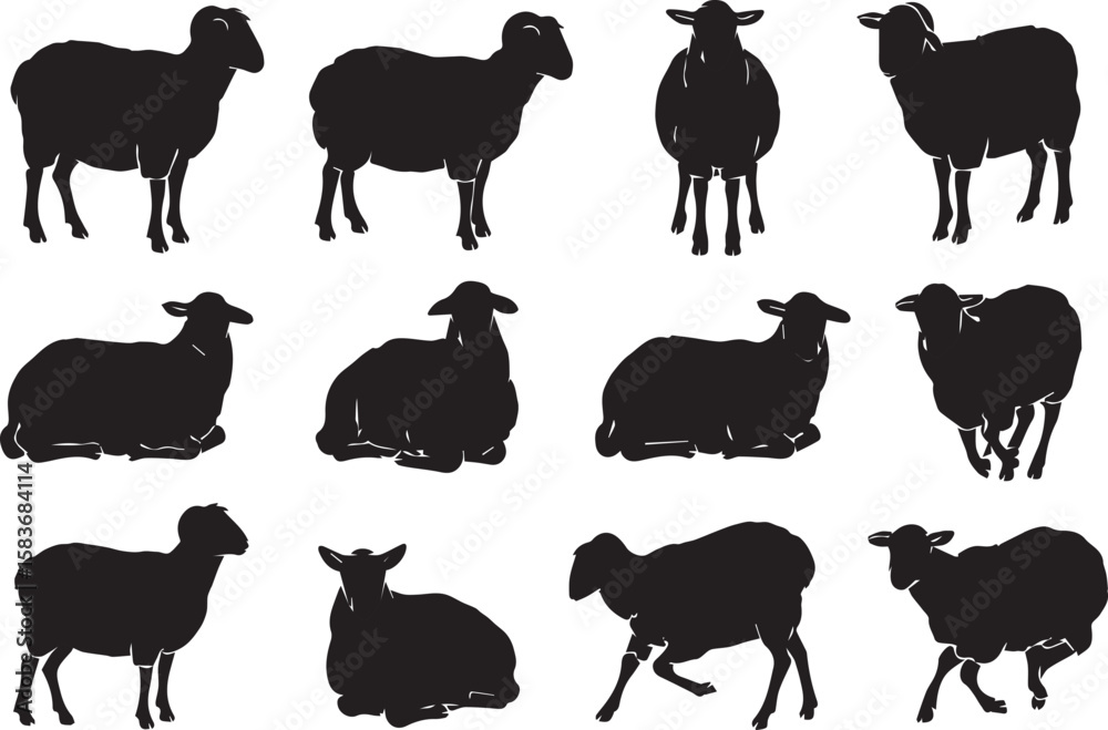 Obraz premium A Bundle of Black Sheep Silhouette on White Background