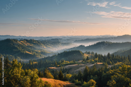 explore vibrant summer landscapes and diverse natural beauty across all  states in usa