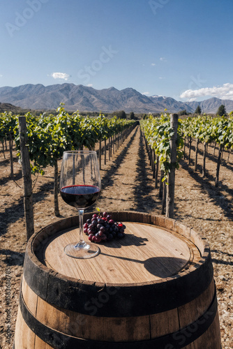 Red Wine Glass and Grapes on Barrel in Front of Vineyard Mendoza Argentina
