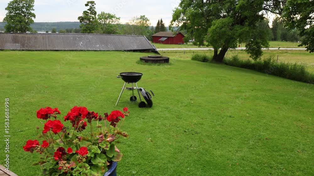 Green lawn with red geranium flower and bbq grill. Summer day in July. Nora, Bergslagen, Sweden.
