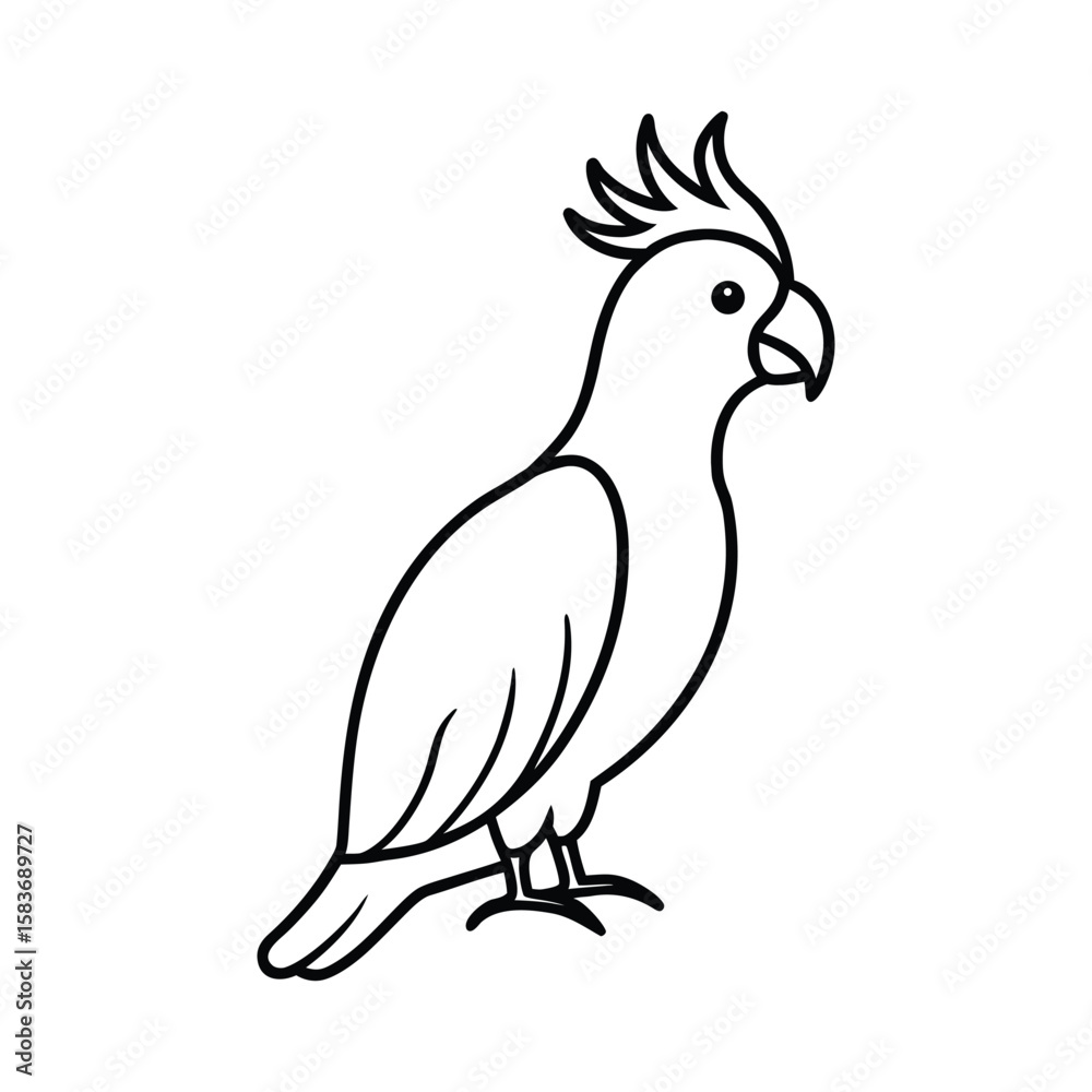 Fototapeta premium A cockatoo bird line art vector illustration.