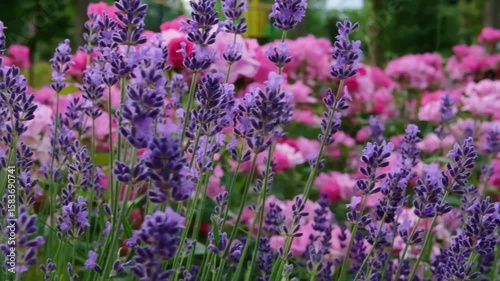 A flower bed in a city park.