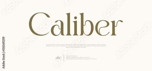 Luxury Beauty Font Uppercase Lowercase and Number. Typography beautiful fashion elegant classic letters serif italic fonts wedding vintage retro casters logos. vector illustration

