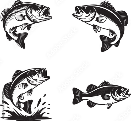 Set of Vintage bass Fish silhouette vector illustration isolated On Transparent Background