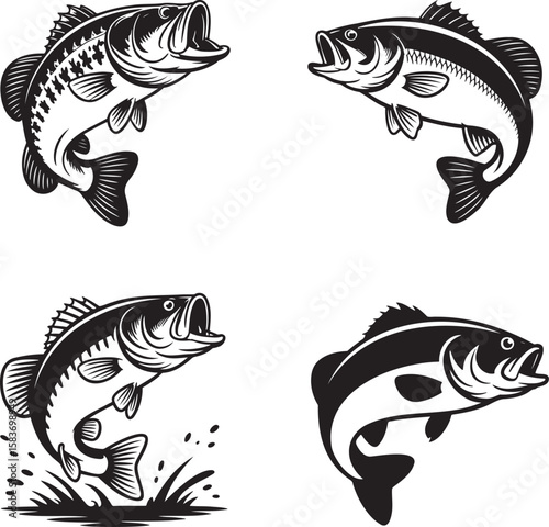 Set of Vintage bass Fish silhouette vector illustration isolated On Transparent Background