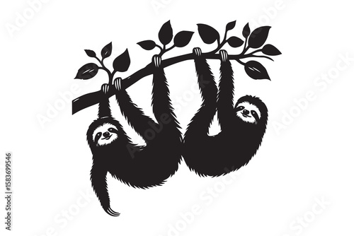 Two Sloths Hanging from a Branch in Silhouette