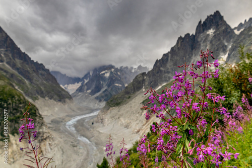 Beautiful mountain landscapes of the Alps on Tour du Montblanc hike. Green valley, snow summits and rocky peaks of Aiguilles de Chamonix and Montblanc. Summer sunny weather blue sky, trekking Alp hike