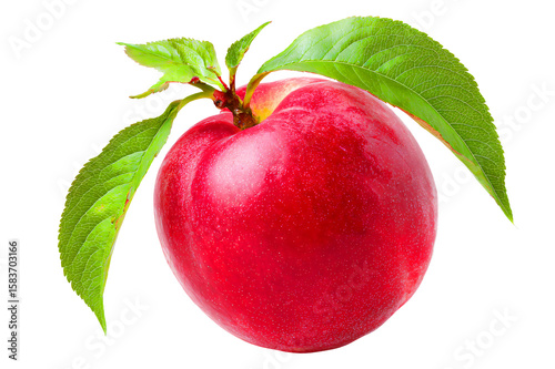 Ripe vibrant nectarine with bright red skin and stemmed green leaf