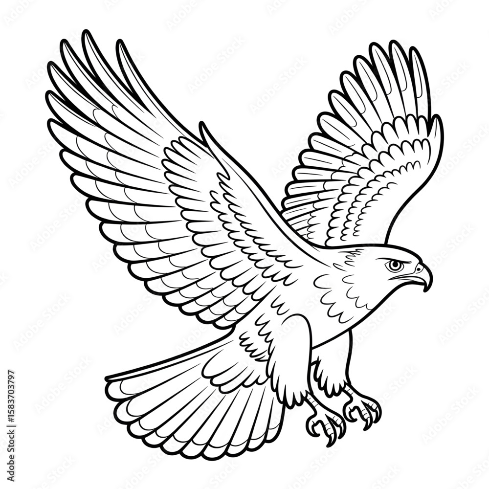 Obraz premium Flying a hawk bird coloring page design