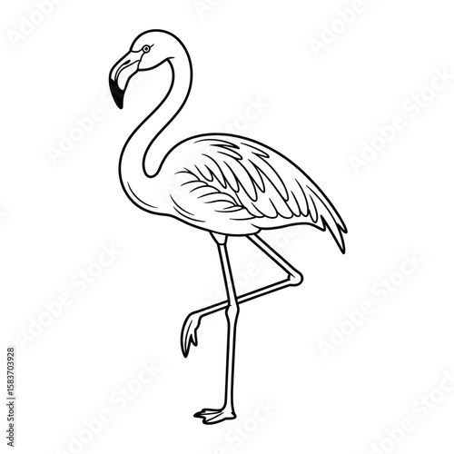 Beautiful line drawing of a flamingo coloring page