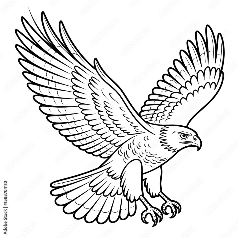 Fototapeta premium Illustration vector of a Hawk coloring page
