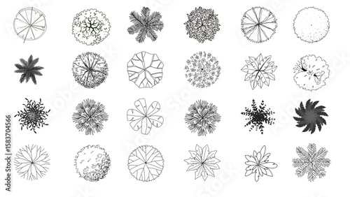 Versatile tree top view illustration set, perfect for architectural designs and landscape planning.