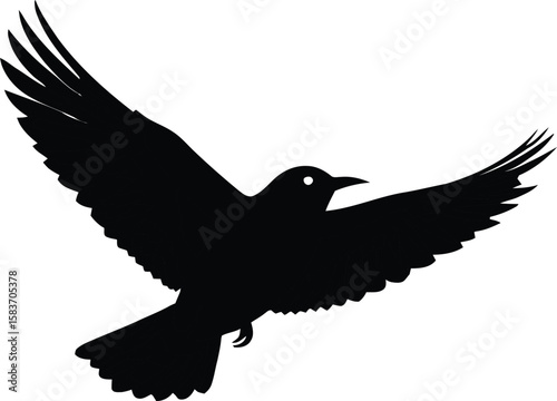 pigeon silhouette vector