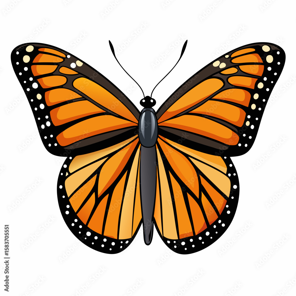 Obraz premium Detailed illustration of a monarch butterfly with orange wings isolated on white background