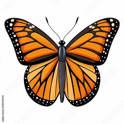 Detailed illustration of a monarch butterfly with orange wings isolated on white background