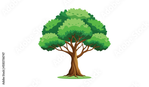 Single green tree isolated on a white background with lush leaves and branches