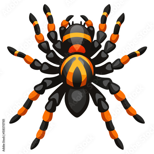 Stylized black and orange tarantula spider isolated on white background