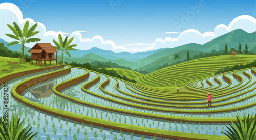 Terrace rice paddies landscape illustration