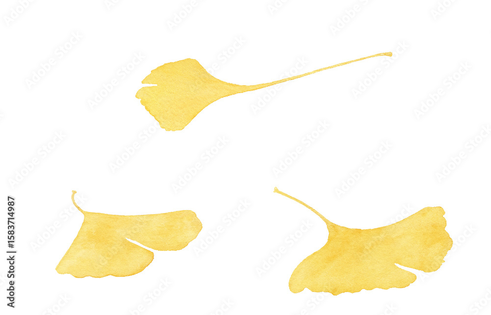 Naklejka premium 落ち葉 イラスト 水彩 イチョウ