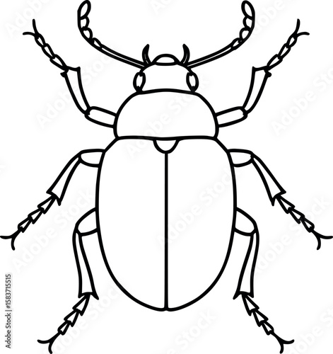 Line art vector of beetle with hard shell and curved antennae, black line details, isolated on white