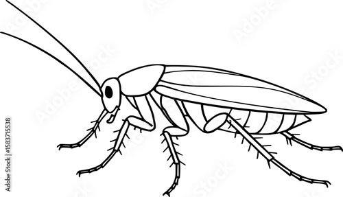 Line art vector of cockroach with legs splayed out, side view and antennae extended, isolated on white