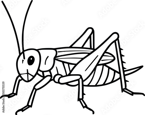 Line art vector of cricket sitting with long antennae and sharp lines, isolated on white