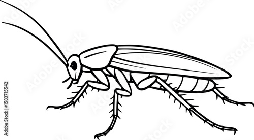 Line art vector of cockroach with legs splayed out, side view and antennae extended, isolated on white