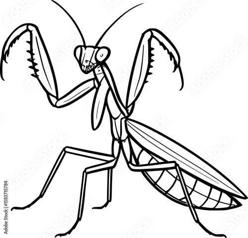 Line art vector of mantis in striking pose, front legs raised, black ink style, isolated on white