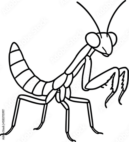 Line art vector of praying mantis nymph with tiny limbs and upright stance, isolated on white