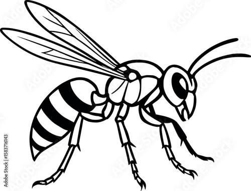 Line art vector of wasp with narrow waist and aggressive posture, clean linework, isolated on white