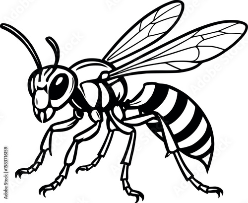 Line art vector of wasp with narrow waist and aggressive posture, clean linework, isolated on white