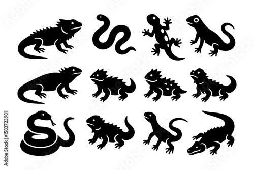 Reptile silhouettes collection: lizards, snakes, iguanas, and chameleons in black
