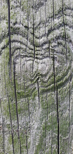 Close-up of weathered wooden planks covered with green moss. The rough texture, cracks, and natural growth create an aged, organic look, perfect for nature, decay, or eco-themed design elements.