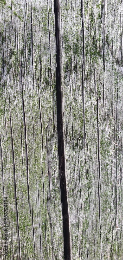Obraz premium Close-up of weathered wooden planks covered with green moss. The rough texture, cracks, and natural growth create an aged, organic look, perfect for nature, decay, or eco-themed design elements.
