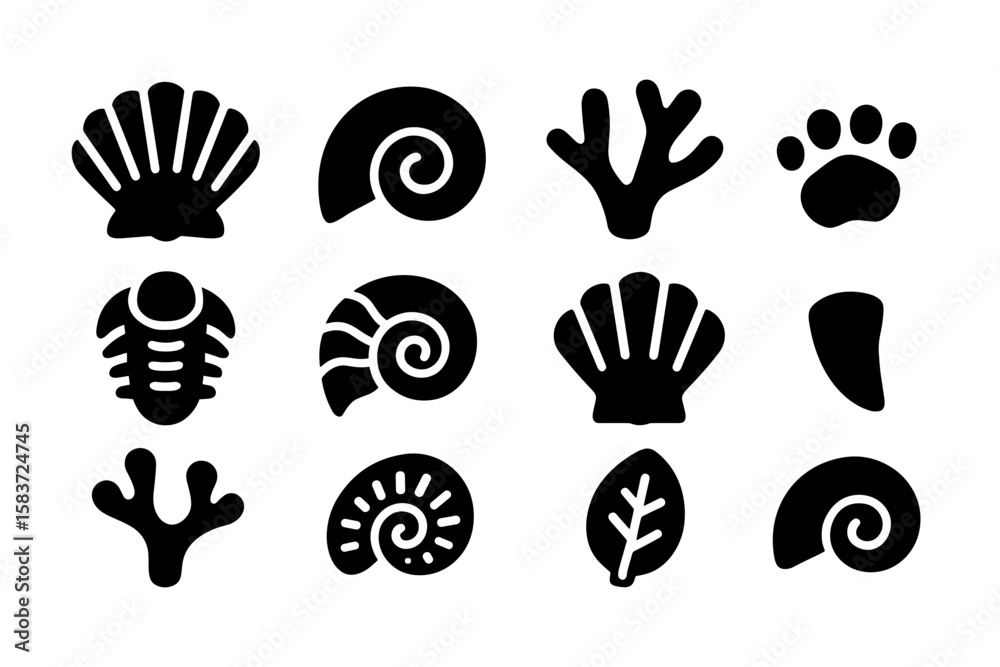 Fototapeta premium Silhouette icons of fossils and shells on white background