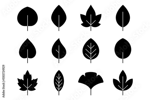 Silhouette collection of abstract leaf shapes in black for nature designs