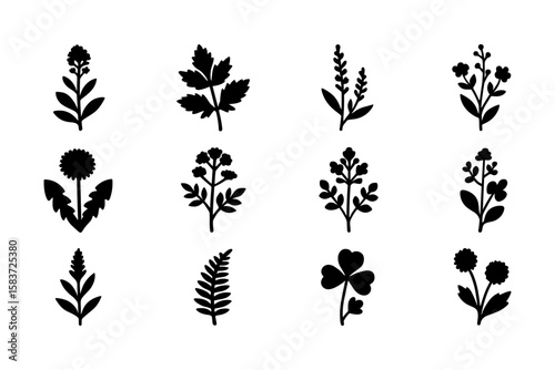 Botanical silhouette collection featuring various plants and floral elements