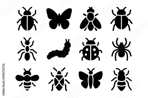 Insect silhouettes set: beetles, butterflies, and more icons