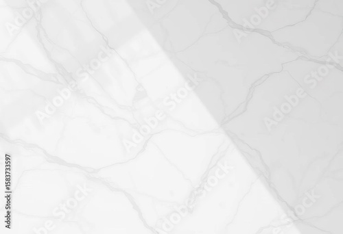 Clean, bright overhead view of pristine white marble texture,  modern,  glossy