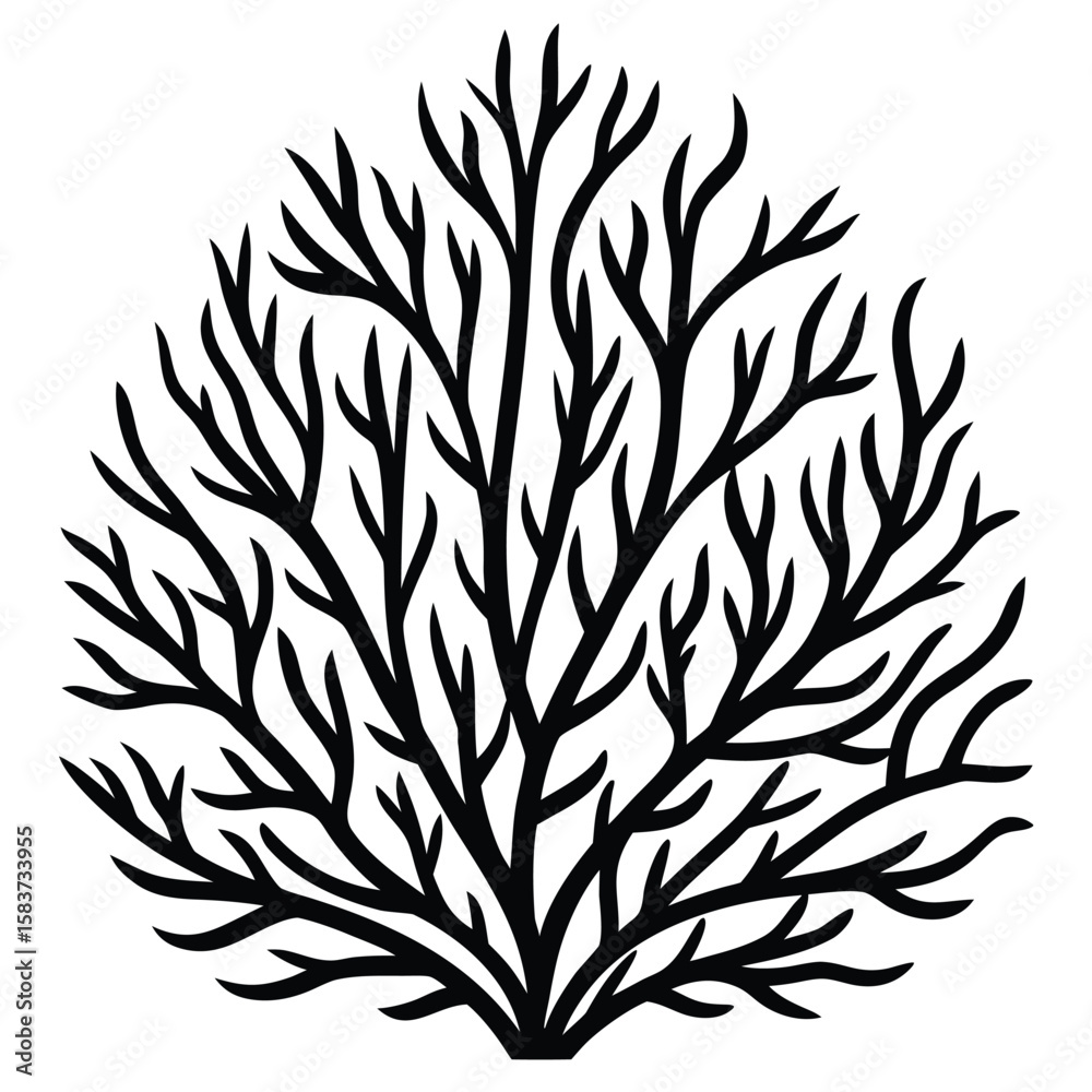 Fototapeta premium silhouette of a tree