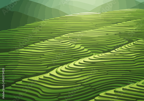 Green rice terraces cascade down hills bathed in sunlight Mountain range backdrop