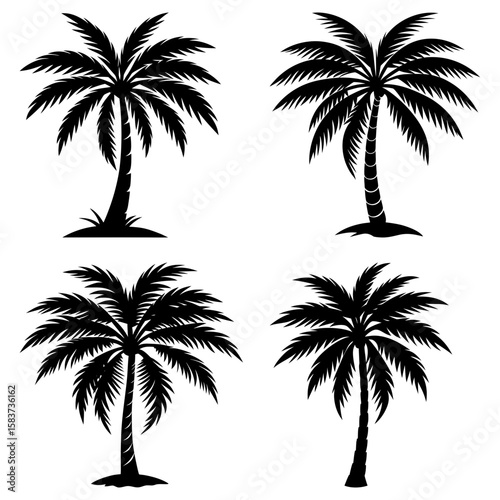 Four silhouette palm trees with detailed fronds and trunks on a white background in a vector format