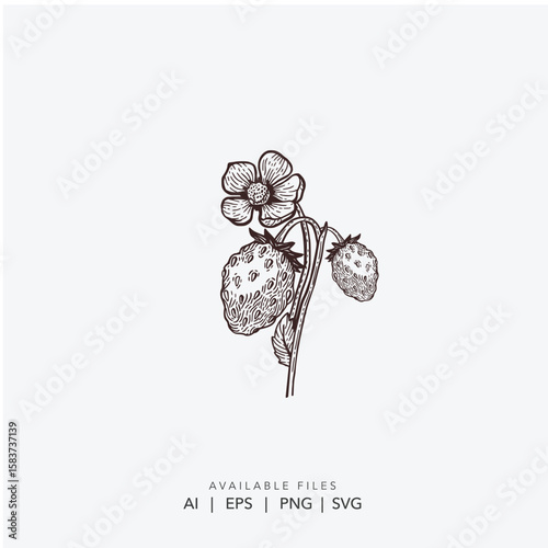 Minimalist Line Art Strawberry Fruit and Blossom Icon, Classic Engraved Strawberry Bush Silhouette