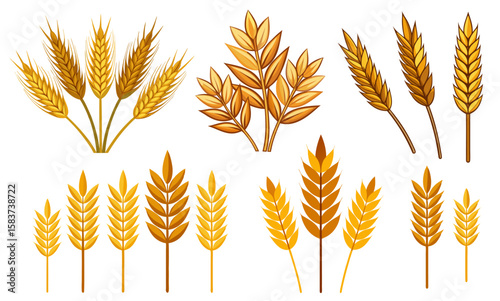 Wheat, barley, oats ears vector flat set