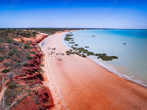 Aerial view of the striking contrast of red earth meeting the cyan sea, a dance of color and texture, Western Australia, Western Australia, Australia.