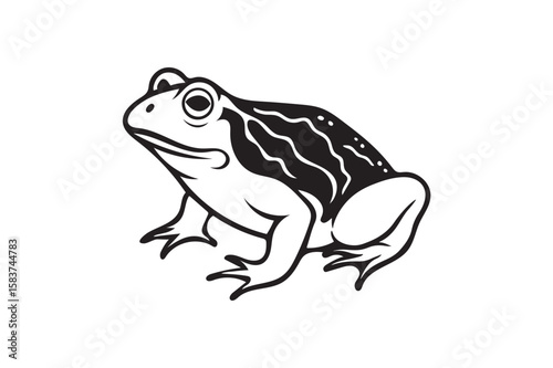 Cane toad silhouette. (1)