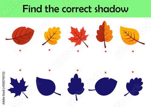 Colorful autumn leaves. Find the correct shadow. Educational matching game for children. Cartoon vector illustration	