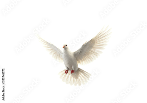 Isolated White Dove in Flight with Spread Wings