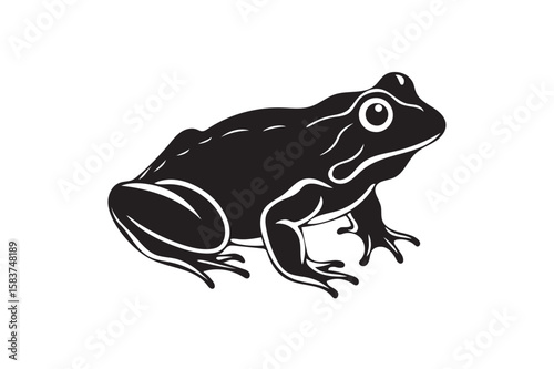 Bullfrog silhouette. (1)